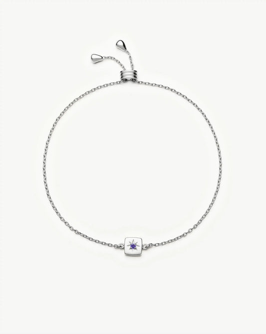 Feburary Birthstone Slider Bracelet | Silver Plated/Natural Amethyst