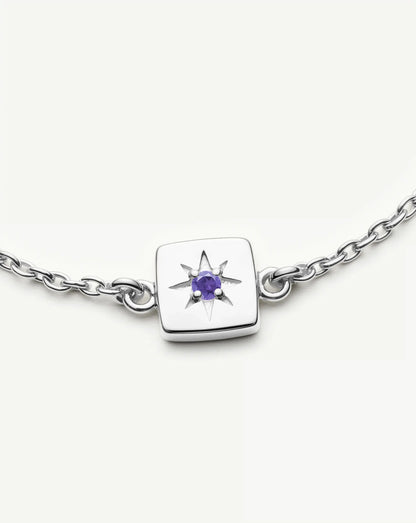 Feburary Birthstone Slider Bracelet | Silver Plated/Natural Amethyst