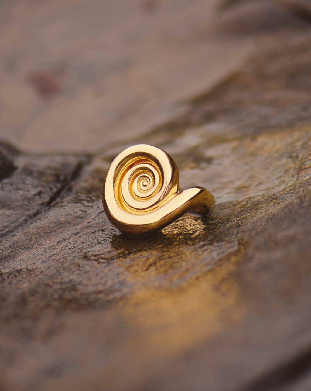 Spiral Statement Ring | 18ct Gold Plated